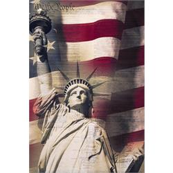 TEMPERED GLASS w/ FOIL - WE THE PEOPLE SF1610 Image